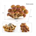thumbnail image 1 of Simulation Montessori Around The World Building ,Mountain Plant Vegetable Fungi Mushroom Matsutake Model Figures Collection Toys, 1 of 5