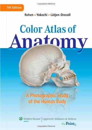 rohen color atlas of anatomy 7th edition