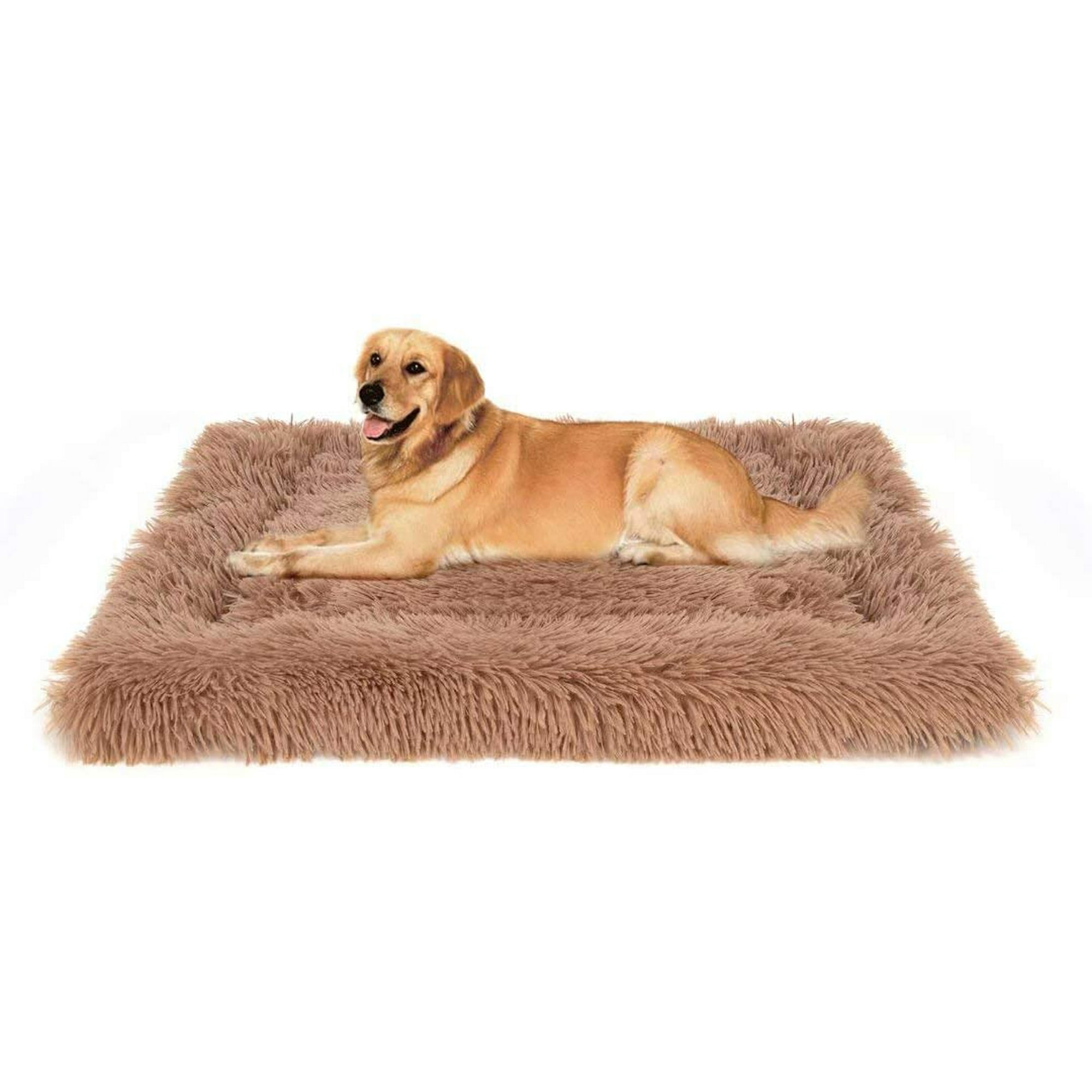 Dog bed for 2 dogs hotsell