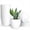 White, variant on Plant Pots, 12 Pack 6 inch Modern Plastic Planters with Drainage Holes and Saucers for Indoor Outdoor Plants and Flowers, White