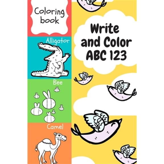 Pre-Owned Write and Color ABC 123: Teach Letters and Numbers Easily. (Paperback)
