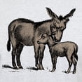 thumbnail image 3 of CafePress - Donkeys Light T Shirt - Men's Classic Graphic T-Shirt, 3 of 4