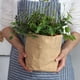 thumbnail image 3 of Naiovety Maceta de cemento de 13 cm para plantas y suculentas, decoración de interiores, maceta de papel kraft. Jardín y Patio, 3 of 6