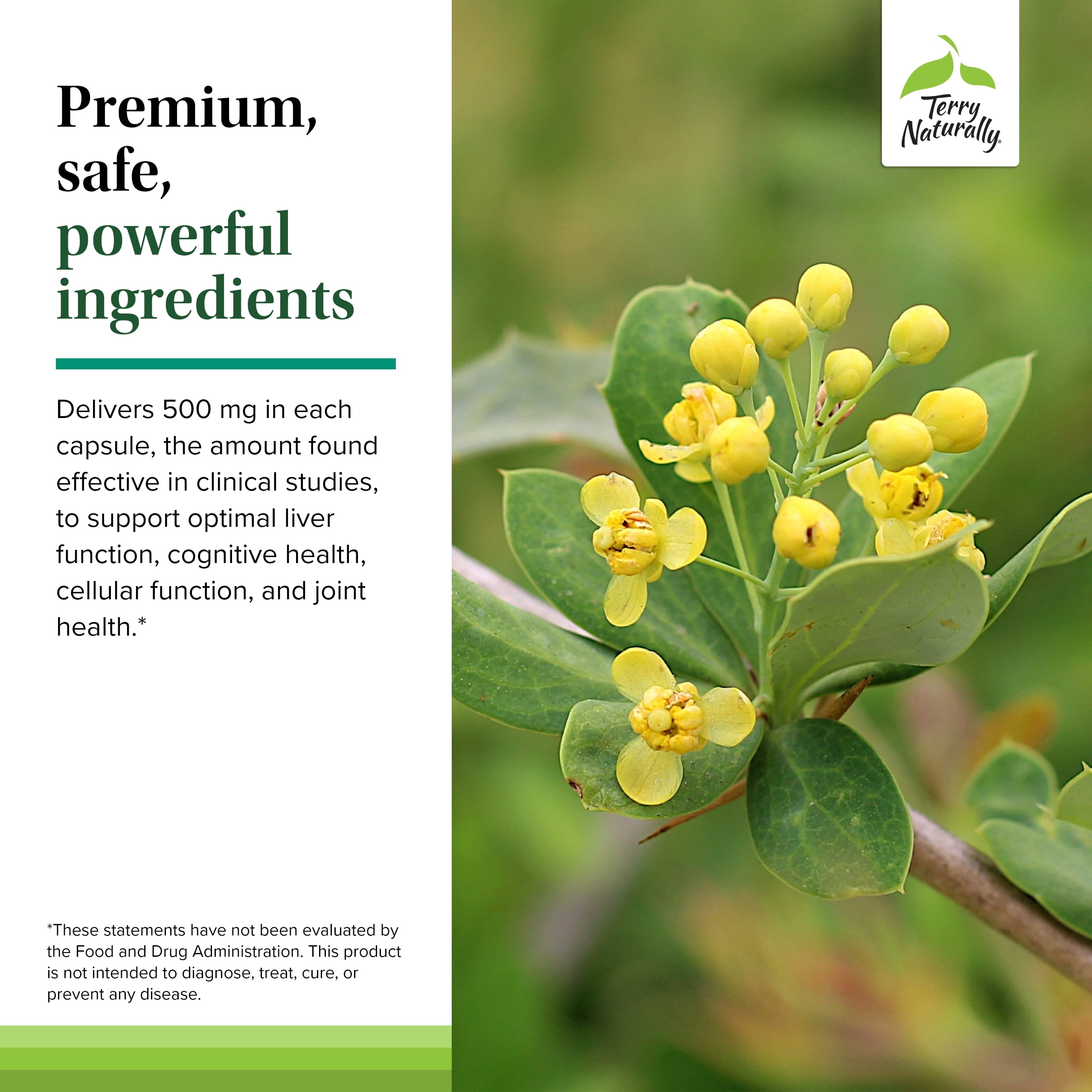 Terry Naturally Berberine - 60 Capsules - Metabolic Support Supplement, Heart, Cholesterol