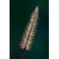 thumbnail image 2 of Richardson, Larry 23x32 Black Ornate Wood Framed with Double Matting Museum Art Print Titled - Foxtail grass, 2 of 4