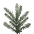 thumbnail image 2 of 14' x 106'' Colorado Spruce 11310Tips, 2 of 2