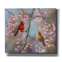 Epic Graffiti 'Spring Cardinals' by Sarah Davis, Canvas Wall Art, 30"x26"