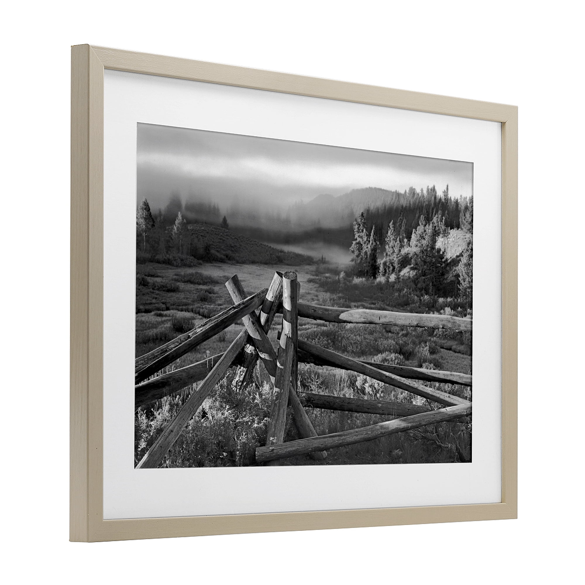 Grand Tetons Fence Beyond Birch Framed Print Under Glass, design by MJ Photography