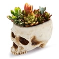 thumbnail image 3 of Resin Skull Head Flower Pots Retro Human Halloween Decor For Home Office Desk Decorations, 3 of 6