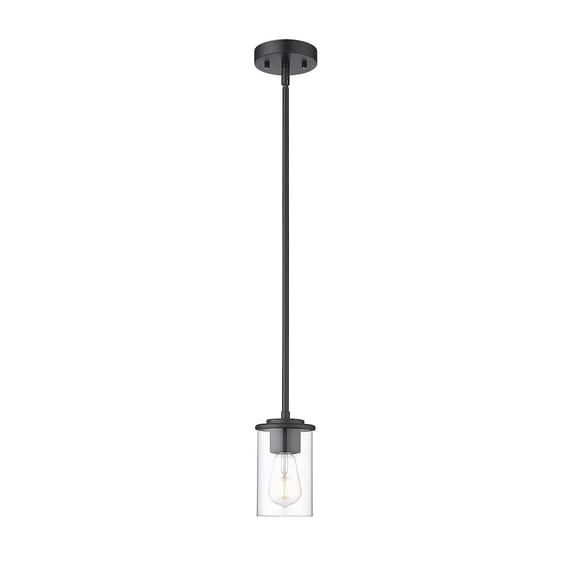 Z-Lite 1 Light Pendant