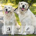 thumbnail image 4 of Adjustable Double Pet Trainer Lead, No Tangle Double Dog Distributor Lead, Perfect Leads for Walking 2 Dogs on One Lead (Black), 4 of 5