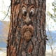 thumbnail image 2 of Decoración de la cara del árbol Cara del árbol Anciano Abrazador de árboles Jardín Mirilla Escultura Tronco Colgante Decoración navideña Ojos grandes Resistente a la intemperie para patio al, 2 of 5