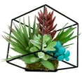 thumbnail image 4 of Northlight 7" Succulent Artificial Arrangement in Black Wire Terrarium - Green/Black, 4 of 7