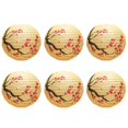 thumbnail image 1 of 6 Linternas de Papel Chinas, 12 Pulgadas, Estilo Oriental , Decorativas, para Fiestas, Redondas (Ciruela Sin LáMpara), 1 of 5