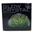 thumbnail image 2 of 4M : Glow Crystal Growing, 2 of 4
