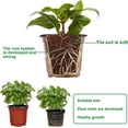 thumbnail image 3 of Macetas de Plástico YONGSHENG 6 pulgadas 40 Uds para Vivero de Plantas, 3 of 5