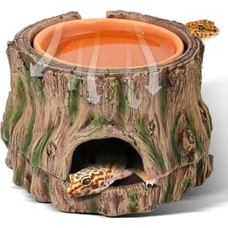 Exo Terra Crested Gecko Kit, Small