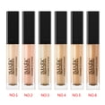 thumbnail image 3 of pitrice Silky Smooth Concealer Spots Dark Circle Acne Covering Liquid Foundation Waterproof Cosmetics, 3 of 9