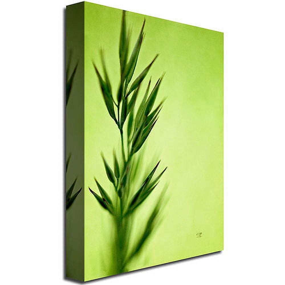 Trademark Fine Art "Keep Green II" Canvas Wall Art by Lois Bryan