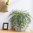 thumbnail image 4 of ZOELNIC 2Pack Artificial Flowers Spider Plants Fake Silk Plant Faux Greenery Artificial Plants for Home Garden Wall Indoor Outdoor Decor(Not Include Hanging Basket), 4 of 8