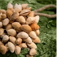 thumbnail image 2 of Handmade Each One Is A Natural String Of Hand Bells Wind Chimes And Accompanying Instruments, 2 of 2
