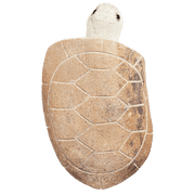 Stone Age Creations 10 Boulder Turtle, Stone