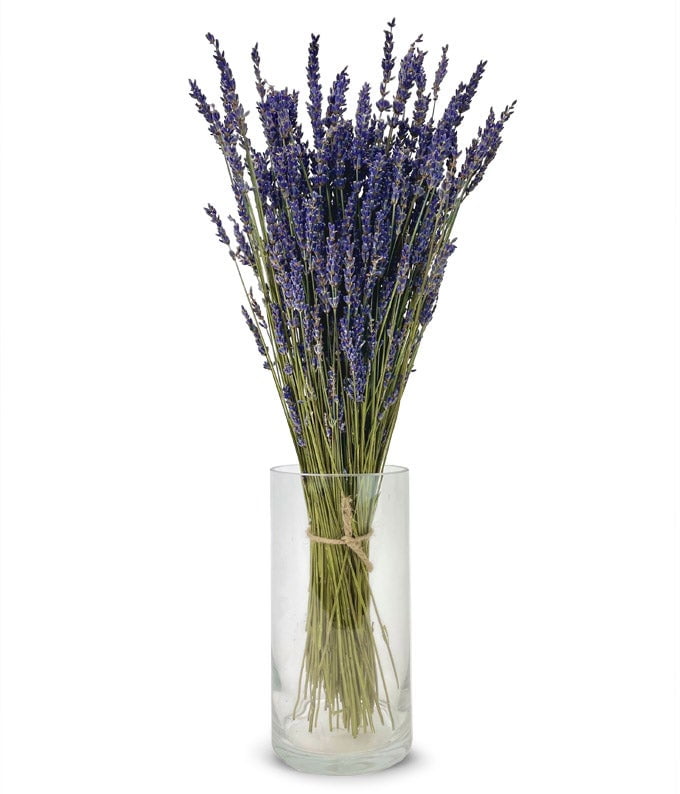 From You Flowers Lavender Fields Bouquet (Dried Flowers)