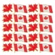 thumbnail image 5 of Canadian Flag Lapel Pin 1 Set Zinc Alloy Brooch Pins For Clothes Hats Backpacks 2.80X2.20X1.00CM Red Accessory 20 Pcs, 5 of 5