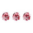 thumbnail image 1 of kurtrusly Japanese Drawstring Bag Coin Food Wine Red Cherry 14x12x16cm 3Set, 1 of 6