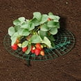 thumbnail image 3 of VerPetridure 1Pcs Strawberry Planting Rack Strawberry Rack Balcony Vegetable Rack Strawberry Plant Growing Supports Keep Strawberries Off Rot in the Rainy Days, 3 of 5