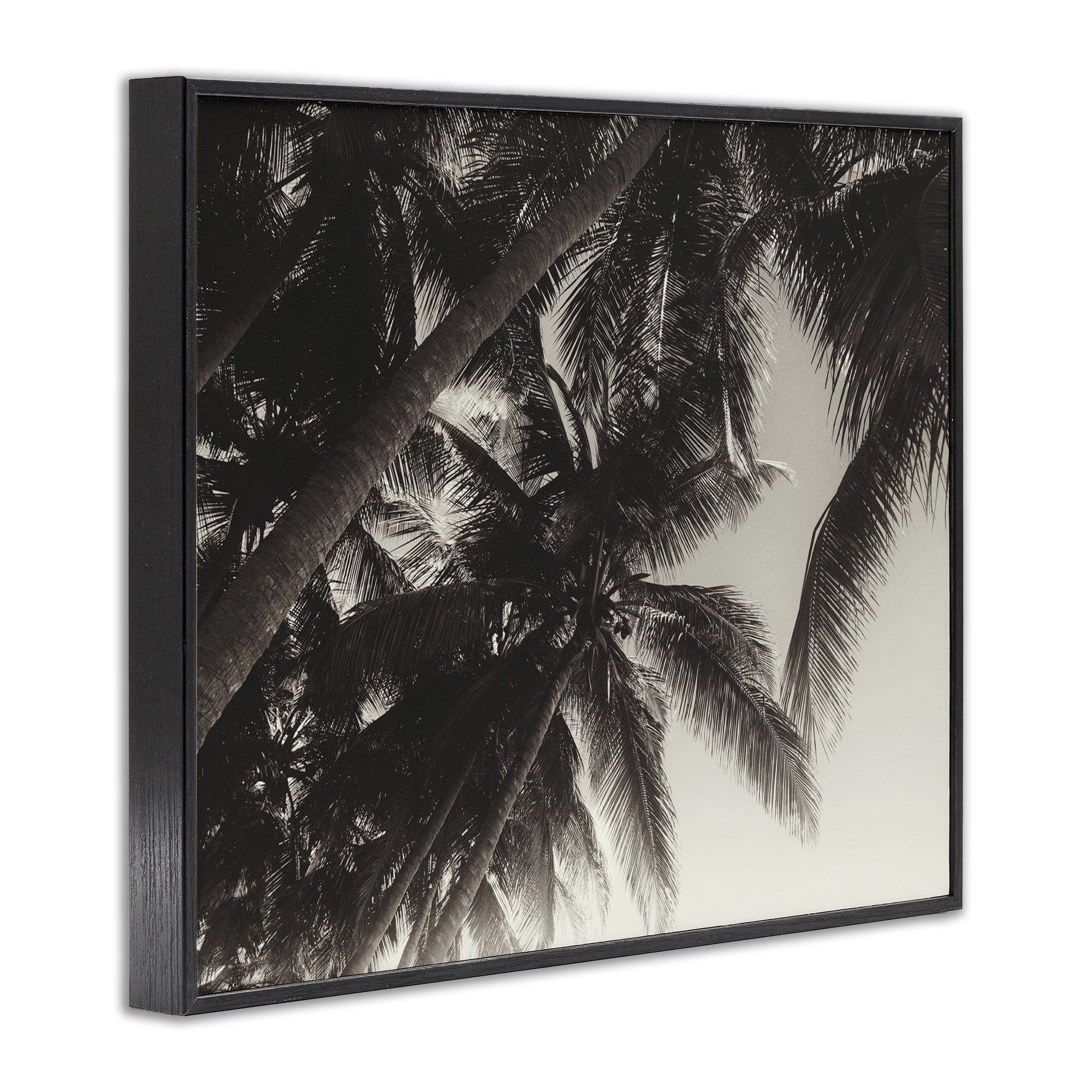 Stupell Industries Dark Palm Leaves Botanical & Floral Photography Black Framed Art Print Wall Art, 20 x 16