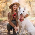 thumbnail image 7 of PhooArto Daisy Flowers Strawberry Pattern Dog Bandanas, 2 Pack Soft Washable Pet Scarf Triangle for Large Dogs Puppies and Cats, 7 of 7