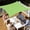 Green, variant on 59X39Inches Polyester Sun Shade Cloth With 4Pc Pull Cord Sun Shade Sail With Grommets Sun Screens For Patio Outdoor Garden(Grey-1X1.5M)