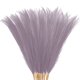 thumbnail image 1 of Uxcell 20 Paquete de Hierba Pampas Falsa 21.7" para Decoración del Hogar Boda Púrpura, 1 of 6