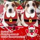 thumbnail image 5 of 1 Pieza de Bufanda de Navidad para Mascotas Ajustable, Accesorios de Ropa Navideña para Mascotas, Disfraz para Perros y Gatos, Collar Pajarita de Corbata, Accesorio de Aseo, 5 of 5