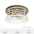 thumbnail image 4 of Hunter Langwood Distressed White and Chestnut 2 Light Flush Mount Ceiling Light Fixture, 4 of 7