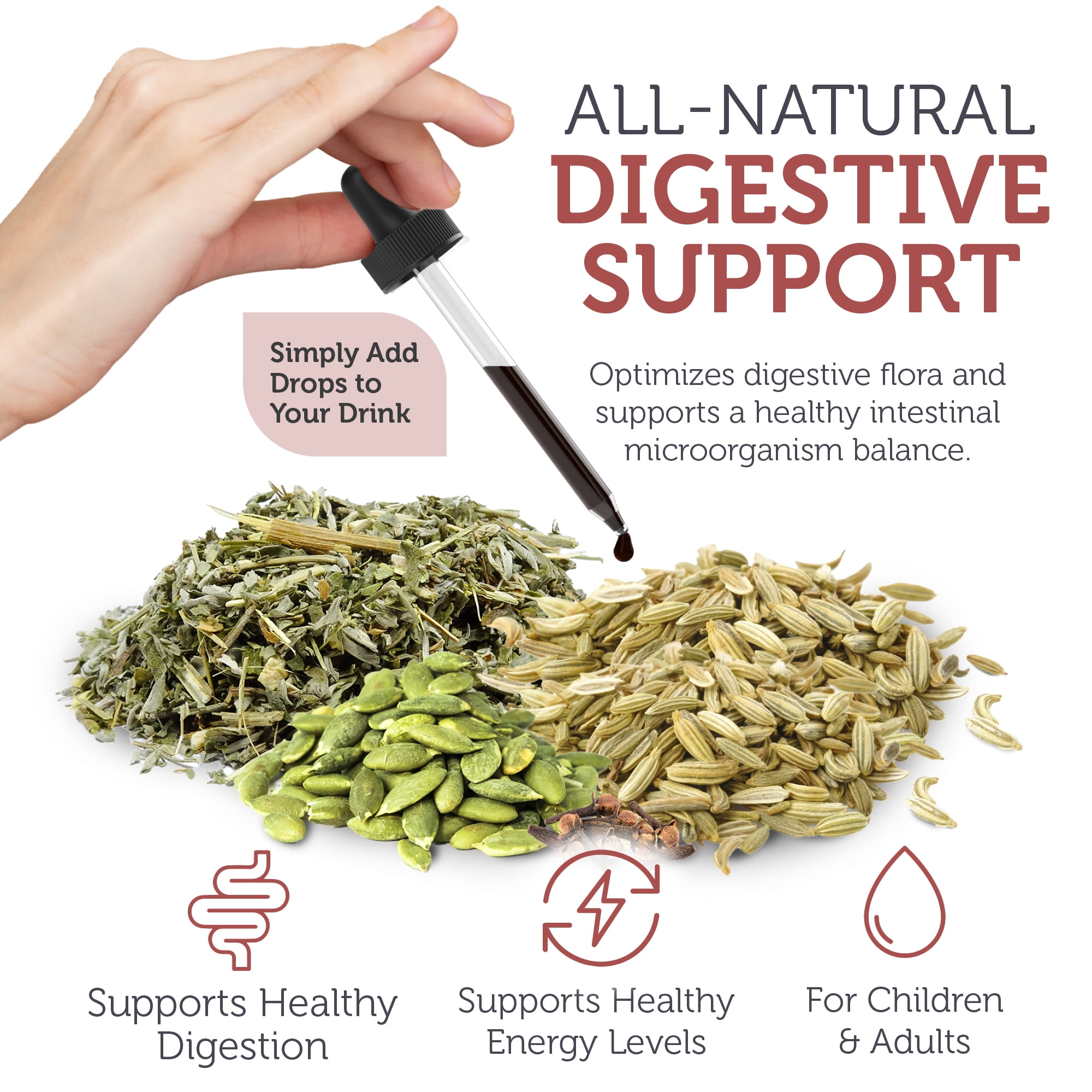 Zahler ParaGuard Liquid Drops, 4 Oz, Gut Health Supplement & Detox Cleanse with Wormwood, Garlic, Pumpkin Seed, Clove