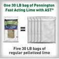 thumbnail image 4 of Pennington Fast Acting Lime Plus Soil Conditioner Mineral Supplement, 30 lbs., 4 of 8