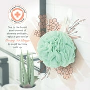 Spongentle Loofah Bath Sponge Loofa Body Sponge Shower, Exfoliating Body Scrubber, Gorgeous Colors, 4 Pack, Large
