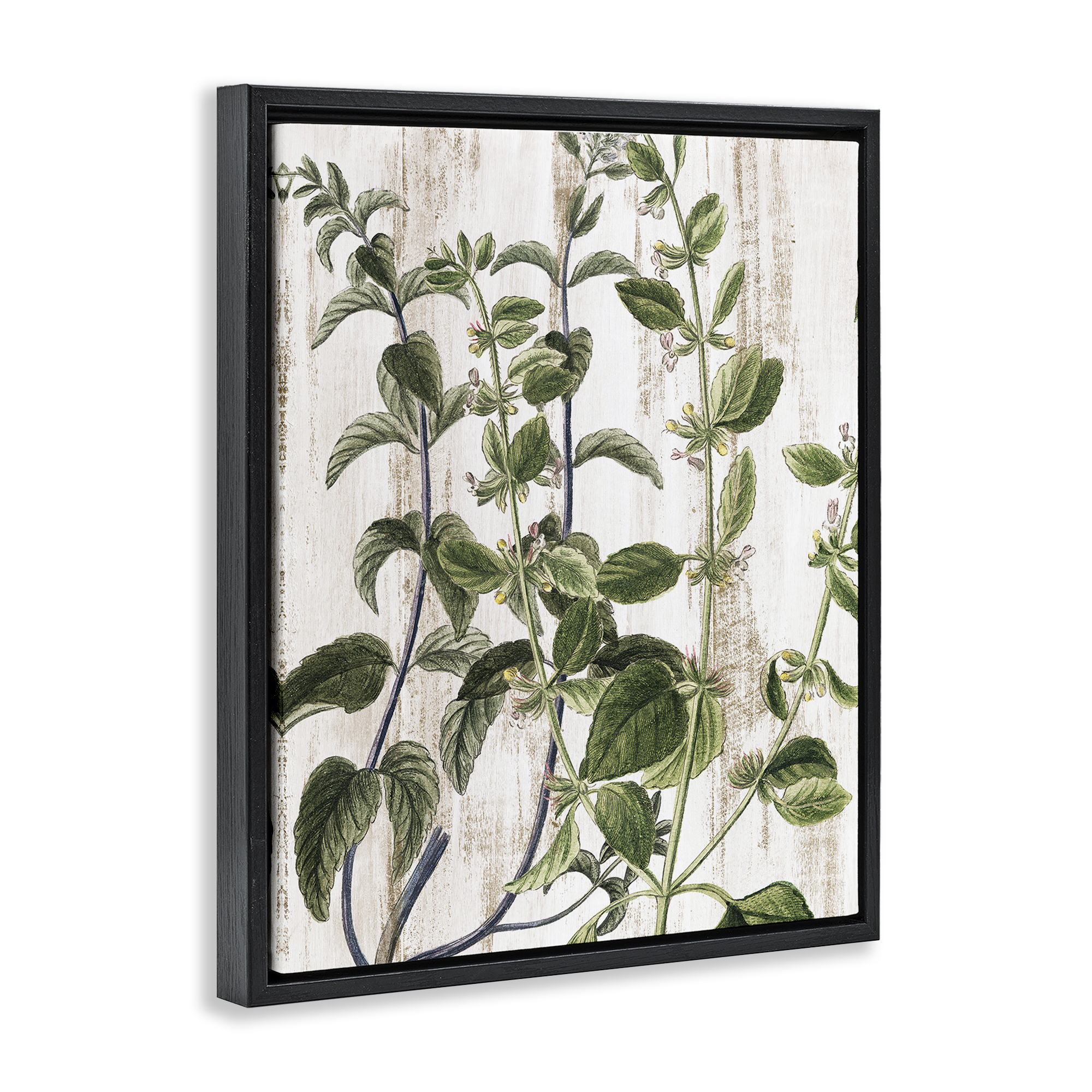 Stupell Industries Rustic Botanical Vines Botanical & Floral Painting Black Floater Framed Art Print Wall Art, 17 x 21