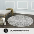 thumbnail image 3 of Nicole Miller New York Patio Sofia Juniper Transitional Paisley Indoor/Outdoor Area Rug, Ivory/Grey, 7'10" Round, 3 of 5
