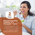thumbnail image 3 of Zahler AfterMeals, Natural Antacid and Digestive Aid, Occasional Acid and Reflux Inhibitor, Certified Kosher, 100 Chewable Tablets, 3 of 6