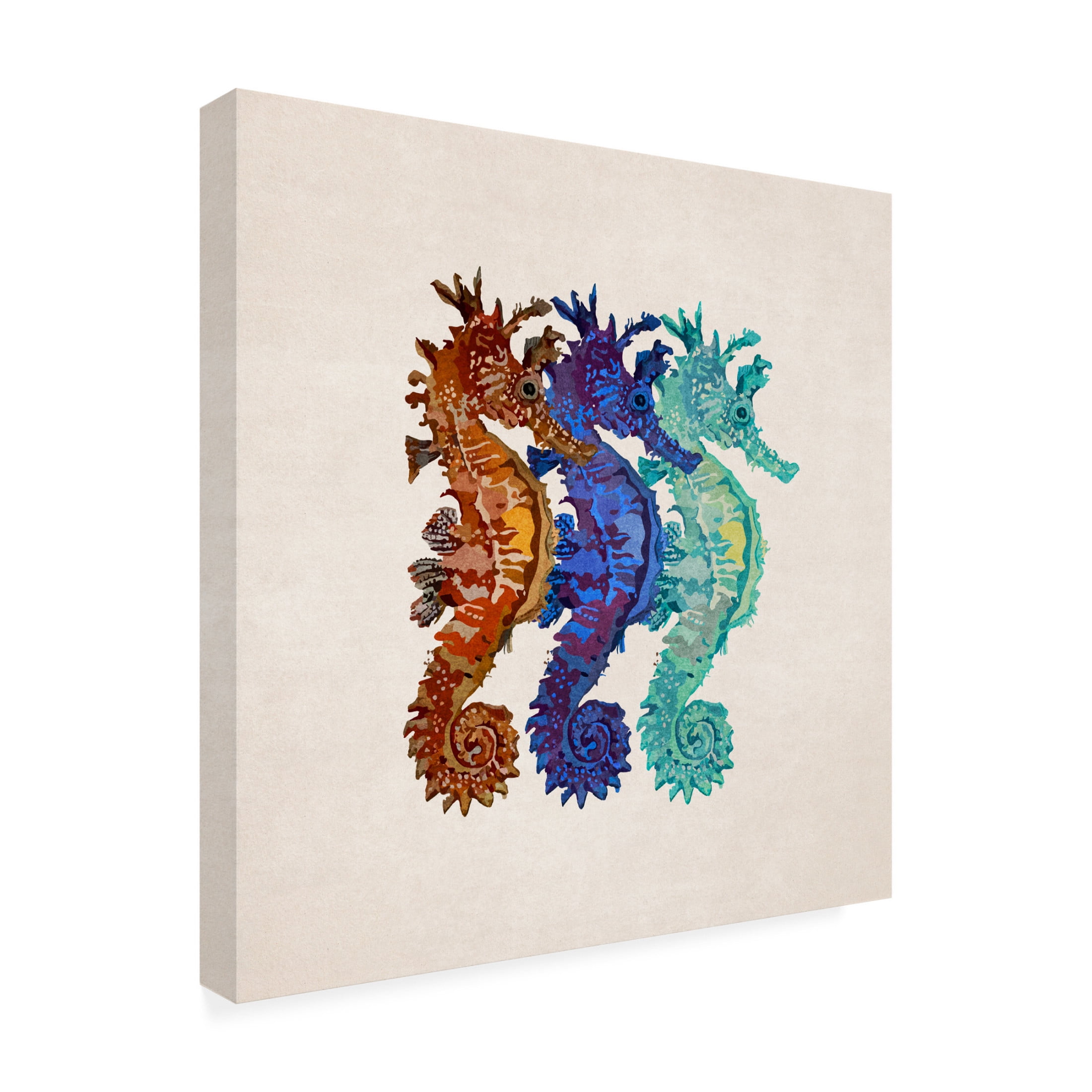 Trademark Fine Art Emel Tunaboylu Denizatlari Canvas Wall Art