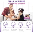thumbnail image 6 of Tcllka Calming Collar for Dogs 4 Packs Dog Pheromone Calm Collars Relief Anxiety Stress Separation Lasts 60 Days, 6 of 7