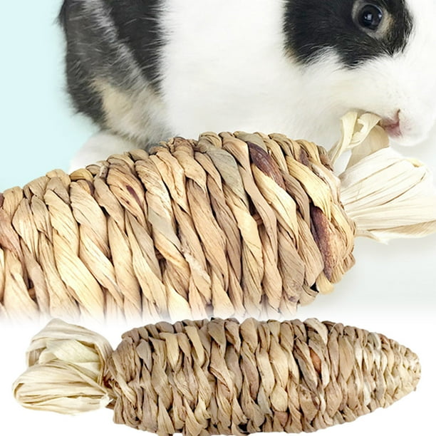 Pet Enjoy Bunny Chew Toys for Teeth,Natural Grass Carrot Toys