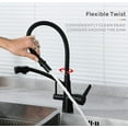 Pull Down Kitchen Faucet with Drinking Filtered Water Outlet, 360