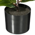 thumbnail image 3 of Vickerman 18" Green Fiddle Leaf Plant in Mini Black Pot., 3 of 3