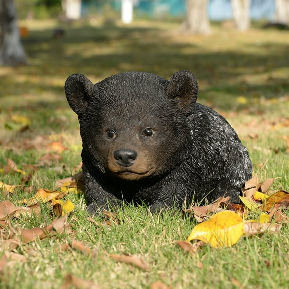 Baby Black Bear Crawling