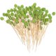thumbnail image 2 of 100pcs Bamboo Skewers Appetizer Sticks Leaf Shaped Topper Bamboo Food Picks, 2 of 5