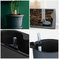 thumbnail image 3 of KAKOWELY 4pcs Water Gauge For Plants Water Gauge Potted Plants Water Indicators Water Level Meter Water Testing Tool For Plants Water Gauge6.5"X0.79"X0.79", 3 of 4